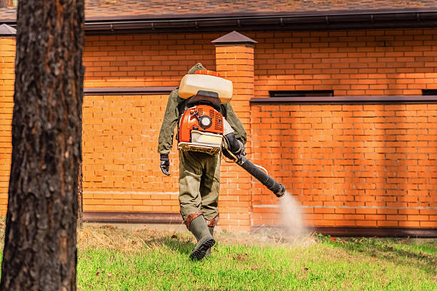 Trusted Bed Bug Control service in Watsontown, PA - Nex Pest Control